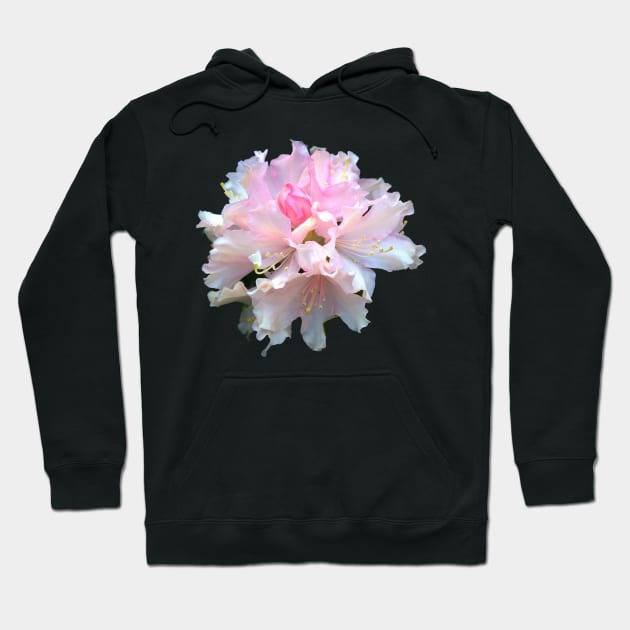 hydrangea. Hoodie by robelf